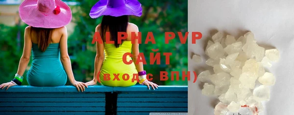 дживик Касимов
