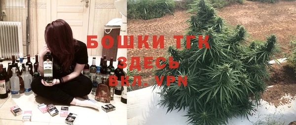 дживик Касимов