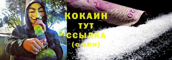 дживик Касимов